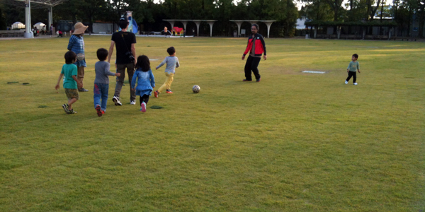京都競馬場で放牧中
