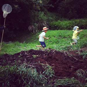 いつも虫を探し追いかけている兄弟です
